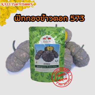 ฟักทองข้าวตอก573 เมล็ดพันธุ์ 100 ก. ตราศรแดง