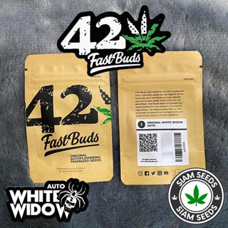 เมล็ดกัญชา Fastbuds White Widow Auto Cannabis Seeds (Pack of 3)