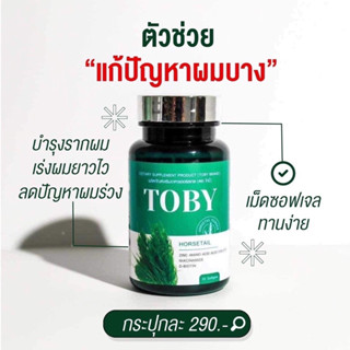 [ของแท้💯 ส่งฟรี!] TOBY Horsetail โทบี้ฮอร์สเทล ลดผมร่วง เร่งผมยาว วิตามินบำรุงผม โทบี้หญ้าหางม้า