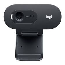 WEBCAM (เว็บแคม) LOGITECH C505 HD