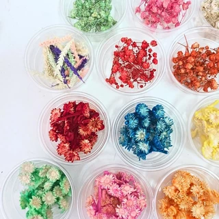 ดอกไม้แห้ง สำหรับงานDIY ดอกไม้แห้งมีหลายชนิดพร้อมส่งไม่มีขั้นต่ำ