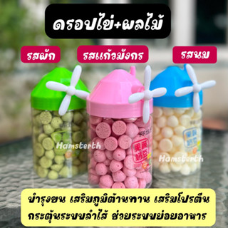 [Hamsterth] ดรอปผักผลไม้ ดรอป ขนม สำหรับสัตว์เลี้ยง ผัก ผลไม้ แฮมสเตอร์