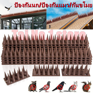 หนามนก อุปกรณ์ไล่นก น้ำยาไล่นก หนามที่กั้นไม่ให้แมวเข้ามา bird thorn