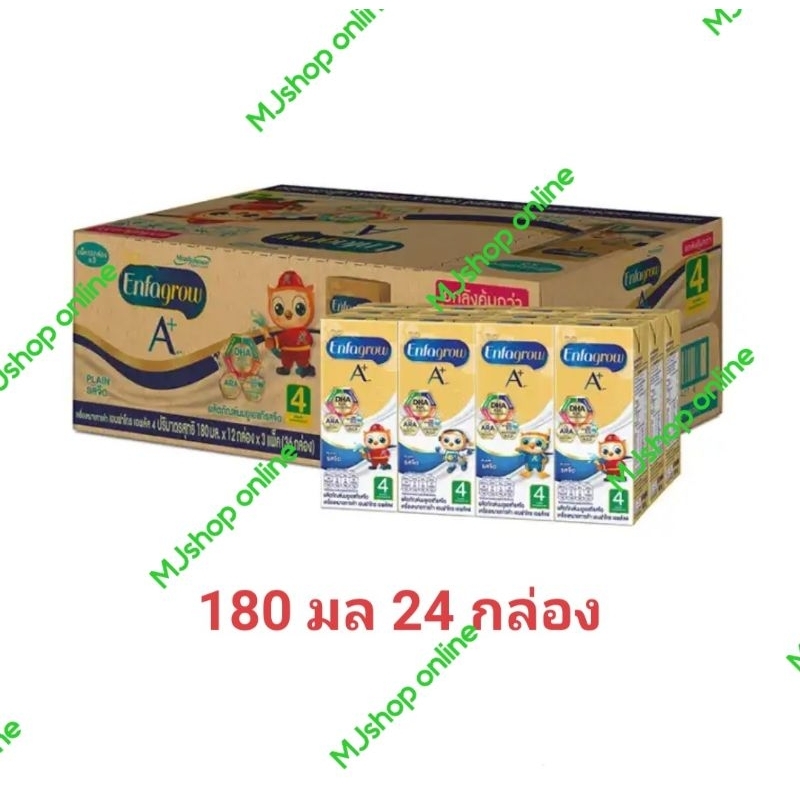 เอนฟาโกรA+ สูตร4 ( 1ลัง 24 กล่อง )