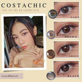 คอนแทคเลนส์ COSTACHI ✨ ยี่ห้อ GAEZZ ; Color Gary / Brown / Choco / Black  ( สายตาปกติ )