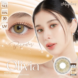 **มีค่าสายตา** คอนแทคเลนส์ ลาย Olivia ตาโต14.5 ขอบฟุ้ง สีหวานเซ็กซี่ มีเสน่ห์ แต่งหน้าอ่อนรอด