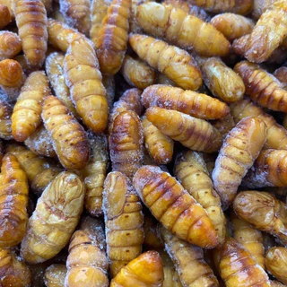 หนอนไหมสดฟรีส ดักแด้ไหม(500g.) 🐛⚡️ส่งด่วน 🔥ค่าส่งเหมา✅คละได้ทั้งร้าน❗️โฟมฟรี💦ทุกจังหวัด 🚚💨ส่งขนส่งแช่เย็น❄️