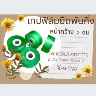 เทปฟิล์มยืดพันกิ่งขยายพันธุ์ไม้สีเขียวใสหน้ากว้าง 2 ซม.