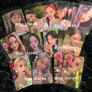 การ์ด Loona benefits ktown4u filp that