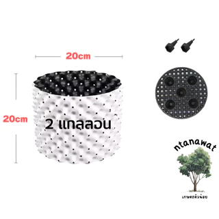 กระถางปลูกต้นไม้ Air Pot กระถางแอร์พอต กระถางเร่งราก มีให้เลือก 5 ขนาด
