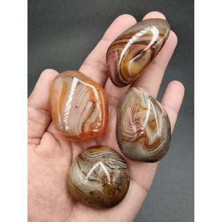 🦋 ซาร์ดอนิกซ์อาเกต มาดากัสการ์ ( Sardonyx Madagasca Agate )
ชิ้นขนาดเล็กๆ ลายสวยมากๆ น่าสะสม มีให้เลือก 4 แบบ