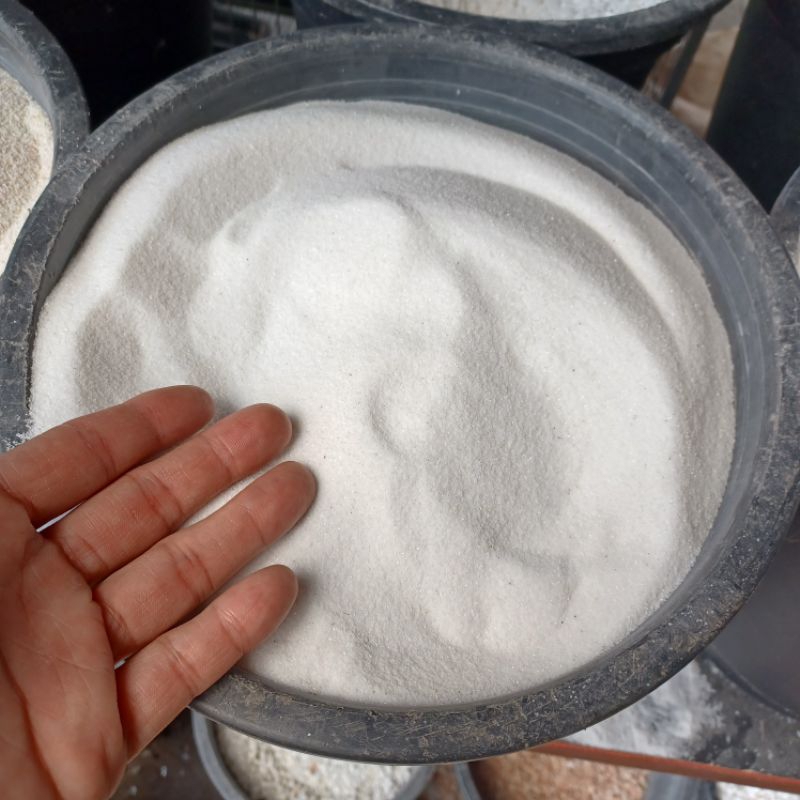 รูปภาพ 8