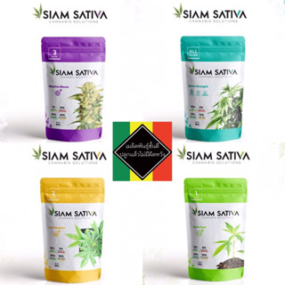 Siam Sativa 🪴 แบ่งขาย สยามซาติว่า