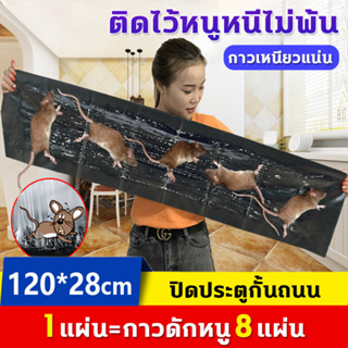 แผ่นกาวดักหนู🐭ยาว ขนาด 120CM กาว ดักหนูแผ่นใหญ่ กับดักหนู กาวดักหนู กาวดักหนู เหนียวพิเศษ ติดทน ไม่ไหลเยิ้ม ปลอดสารพิษ