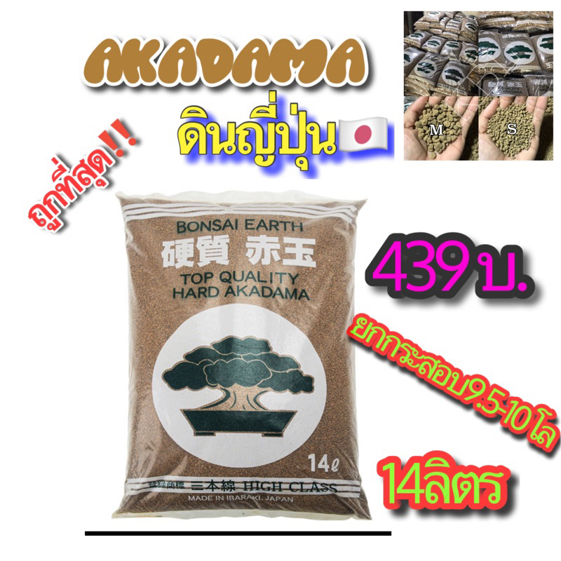 [เหลือ 384 .- ใส่โค้ด "DETNOV90"] ดินญี่ปุ่นakadamaดินบอนไซดินกระบองเพชร