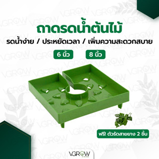 ถาดรดน้ำ ขนาด 6 นิ้วและ 8 นิ้ว พร้อมตัวรัดสาย 2 ตัว ช่วยให้การรดน้ำต้นไม้เป็นเรื่องง่าย Drip cap ถาดช่วยรดน้ำ