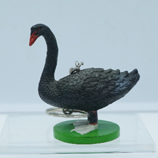 Black Swan keychain Japan Figure ของสะสม