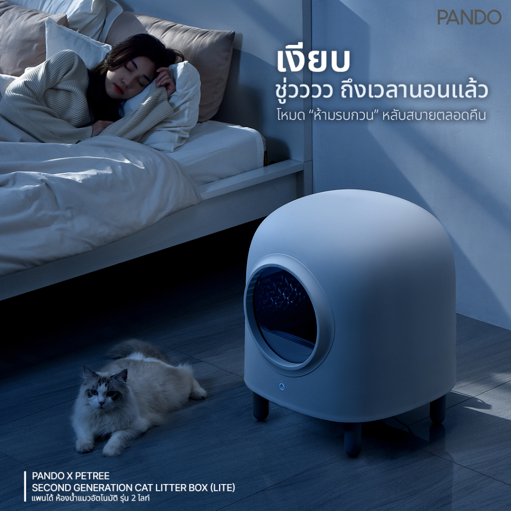 แบรนด์แท้100 Rabbit Selection Pet Pando x Petree Second Generation Cat ...