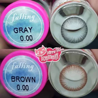 🌸Falling Gray / Brown : Kitty Kawaii สายตาปกติ ถึง -10.00 Size M