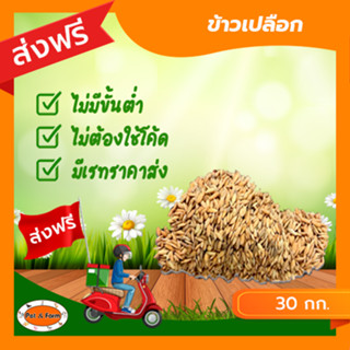 [ส่งฟรีไม่ต้องใช้โค้ด!!] ข้าวเปลือก สัตว์เลี้ยง 10 กก./30กก.