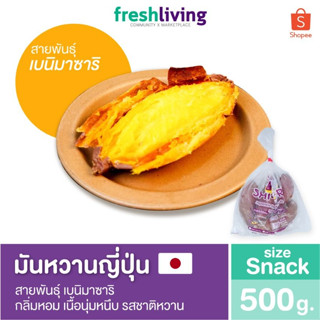 มันหวานญี่ปุ่น เบนิมาซาริ 500g. กลิ่นหอม เนื้อนุ่มหนึบ รสชาติหวาน Shitori