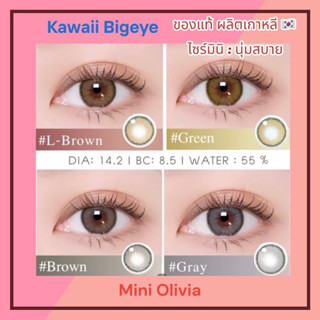 💗🇰🇷 ของแท้ผลิตเกาหลี mini Olivia คอนแทคเลนส์เกาหลี  &gt; KAWAii Bigeye