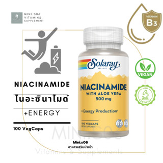 [ ไนอะซินาไมด์ ] - Solaray, Niacinamide, 500 mg x 100 แคปซูล (Capsules)