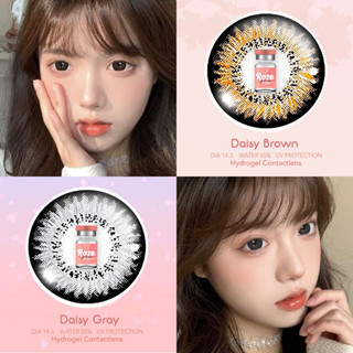 💋 มีค่าสายตา 💋 Rozelens Daisy Gray Brown 💋 บิ๊กอาย สุดปัง คอนแทคเลนส์ รายเดือน มีอย แถมตลับฟรี เลนส์นิ่ม สวยปังมาก