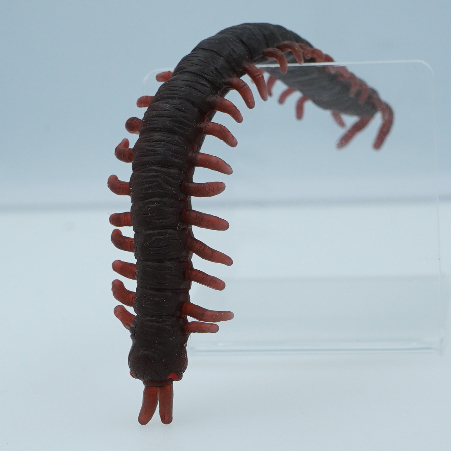 Centipede Soft Vynil Japan Vintage  ของสะสม