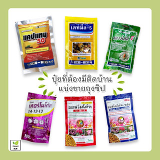 ปุ๋ยที่ต้องมีติดบ้าน ออสโมโค้ท, มัลติเทค, สตาร์เกิลจี, เดทมีล-5, เทอร์โมโค้ท, แคปแทน