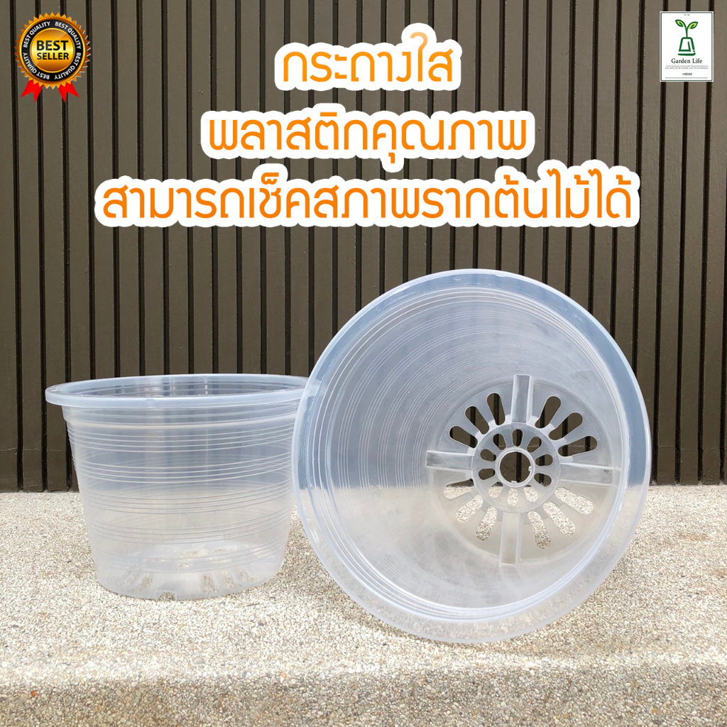 กระถางพลาสติกใส ขนาด 6,8,10,12 นิ้ว ราคาถูกๆ เกรดคุณภาพ พลาสติกเนื้อหนาแข็งแรง ทนทานใสจนเห็นรากทะลุกระถาง ju