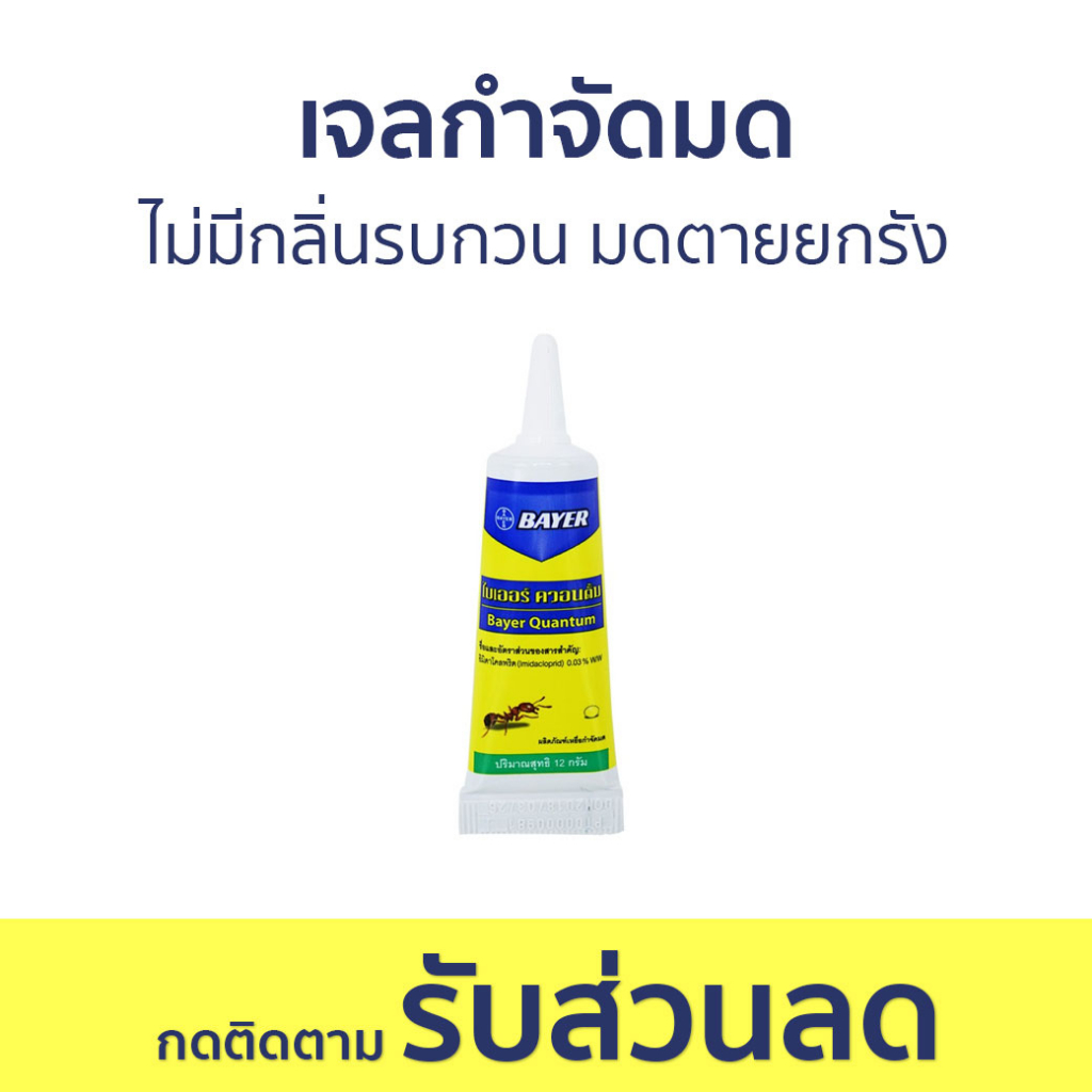 เจลกำจัดมด Bayer ไม่มีกลิ่นรบกวน มดตายยกรัง Quantum - กําจัดมด
