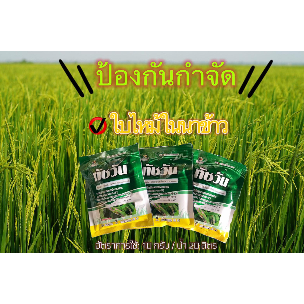 ทัชวัน 100 กรัม ไตรไซคลาโซล แพลนเตอร์