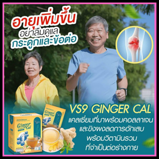 โปรทดลอง 1 กล่อง  : VS9 Ginger Cal วีเอสไนน์ จินเจอร์ แคล สำหรับผู้ที่ปวดข้อ เข่า กระดูก เข่าเสื่อม โรคประดูกพรุน