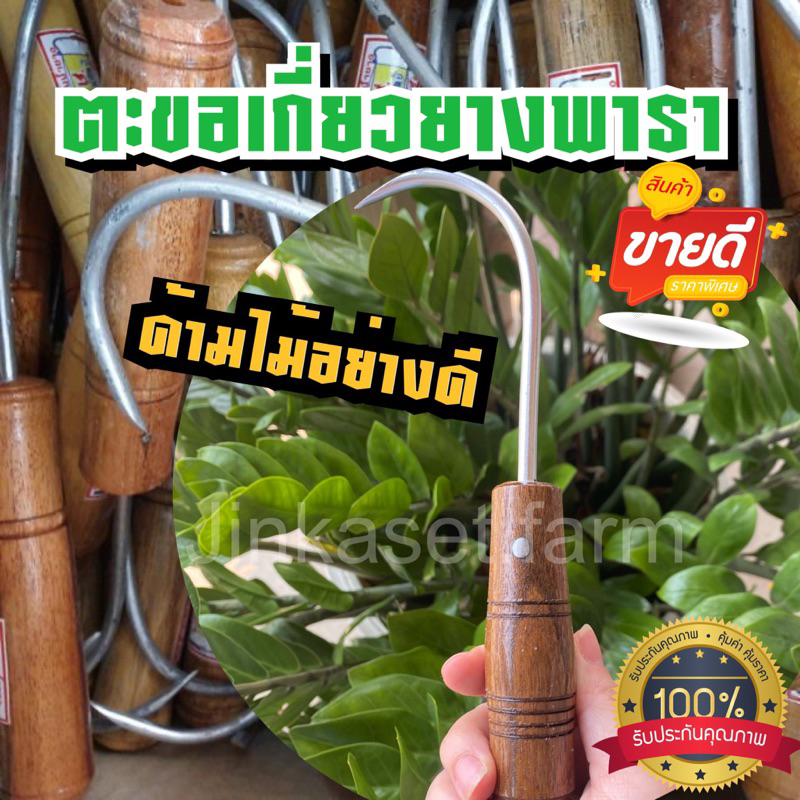 ตะขอไม้ เก็บขี้ยาง ตะขอไม้