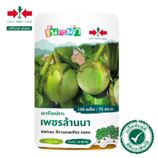 ศรแดง เมล็ดพันธุ์ มะเขือเปราะเพชรล้านนา จันกะผัก (East West Seed) เมล็ดพันธุ์ผัก ตราศรแดง