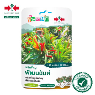 ศรแดง เมล็ดพันธุ์ พริกขี้หนูพัฒนฉันท์ จันกะผัก (East West Seed) เมล็ดพันธุ์ผัก ตราศรแดง