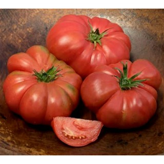 เมล็ดพันธุ์มะเขือเทศเนื้อ โพลิช ไจแอนท์ (Polish Giant Tomato Seed) บรรจุ 15 เมล็ด ของแท้ คุณภาพดี ราคาถูก นำเข้าจากต่าง