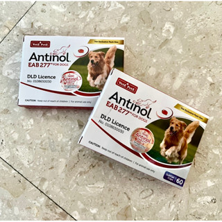 Antinol for dogs อาหารเสริม บำรุงข้อสุนัข ขนาด 60 เม็ด Exp. ปี 2024