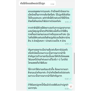200 เมล็ด เมล็ด​พันธุ์​ แรดิชเชอร์รี่​เบล​ Radish​ เมล็ดพันธุ์แรดิช