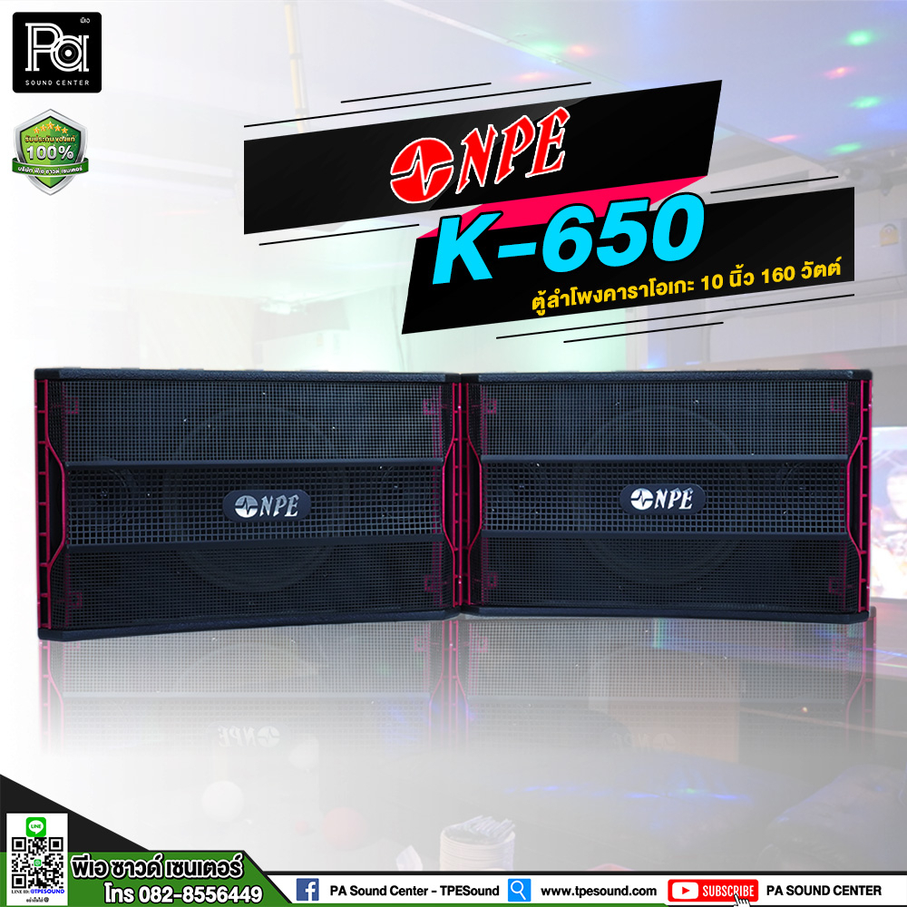 1คู่ NPE K 650 ตู้ลำโพง คาราโอเกะ 10 นิ้ว Full Range รุ่น K-650 K650 ลำโพง 160 วัตต์ Karaoke Speaker
