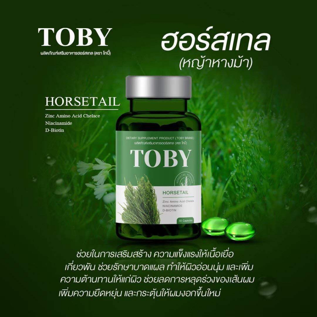 TOBY HORSETAIL โทบี้ ฮอร์สเทล วิตามินบำรุงผม วิตามินบำรุงเส้นผม อาหารเสริมบำรุงผม อาหารเสริมบำรุงเส้นผม วิตามินแก้ผมร่วง