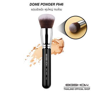 (โค้ด ATDJB ลดเพิ่ม 40.-) แปรงปัดแป้งพุ่มใหญ่ ทรงโดม EIGSHOW DOME POWDER F646