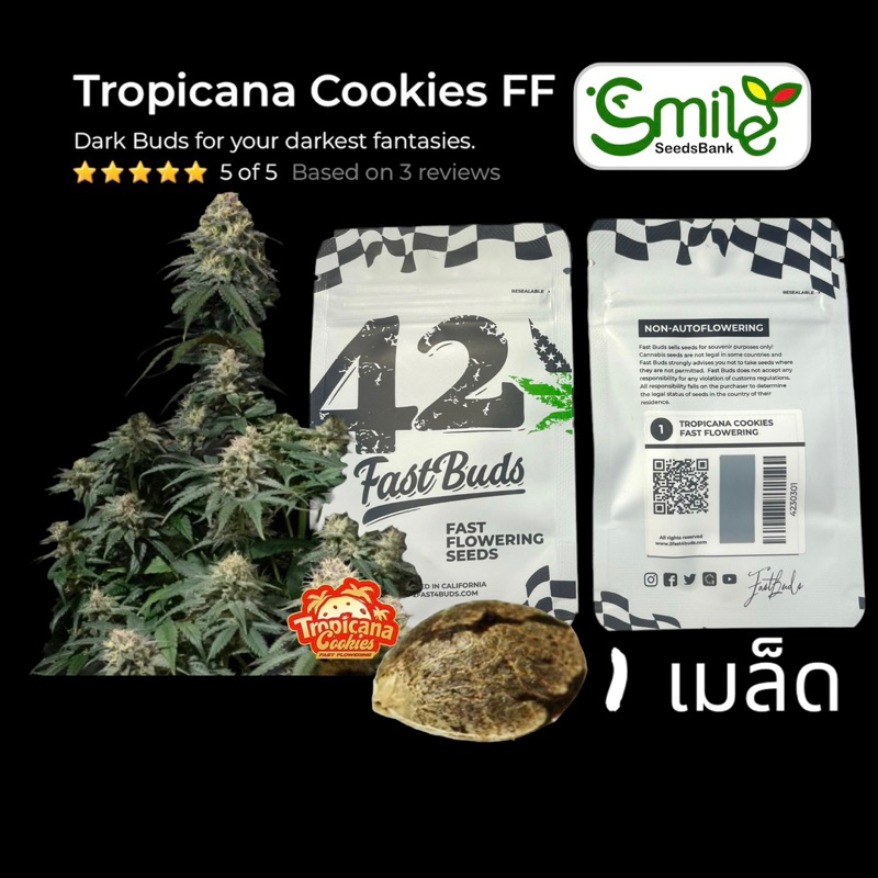 เมล็ดกัญชา Tropicana Cookies FF (Fast) - Fastbuds