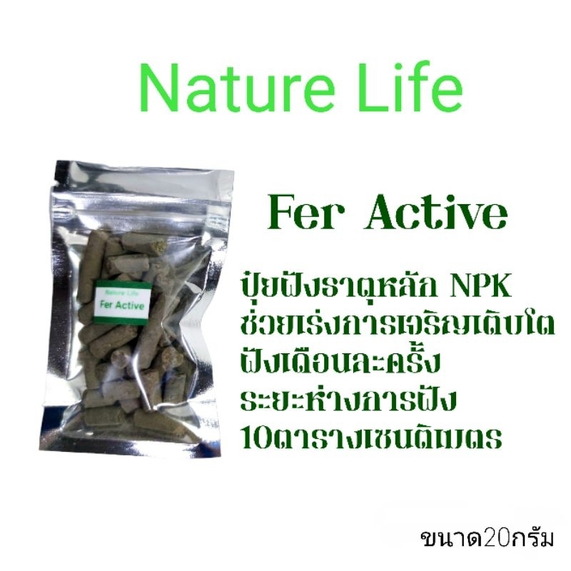 ปุ๋ยฝังไม้เขียวและไม้แดง
