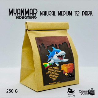 เมล็ดกาแฟ MYANMAR MONGYANG MEDIUM TO DARK ROAST (คั่วกลางค่อนเข้ม) ขนาด 250g