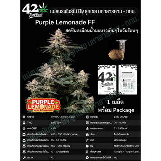 เมล็ดกัญชา Purple Lemonade FF - FastBuds (เมล็ดออกดอกเร็ว)