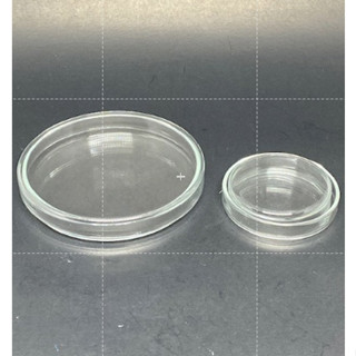 แบบ 10 ชิ้น แบบ 20ชิ้น Petri dish Glass 15X60MM ,15X100MM Petridish Glass จานเพาะเชื้อแก้ว Qualicolor ประเทศเช็ก