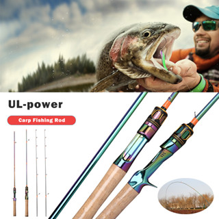 🎣1.68/1.8/1.98m Spinning Rod Casting Rod คาร์บอนไฟเบอร์ขนาดใหญ่คู่มือเซรามิคสำหรับปลาคาร์พน้ำจืดน้ำเค็ม