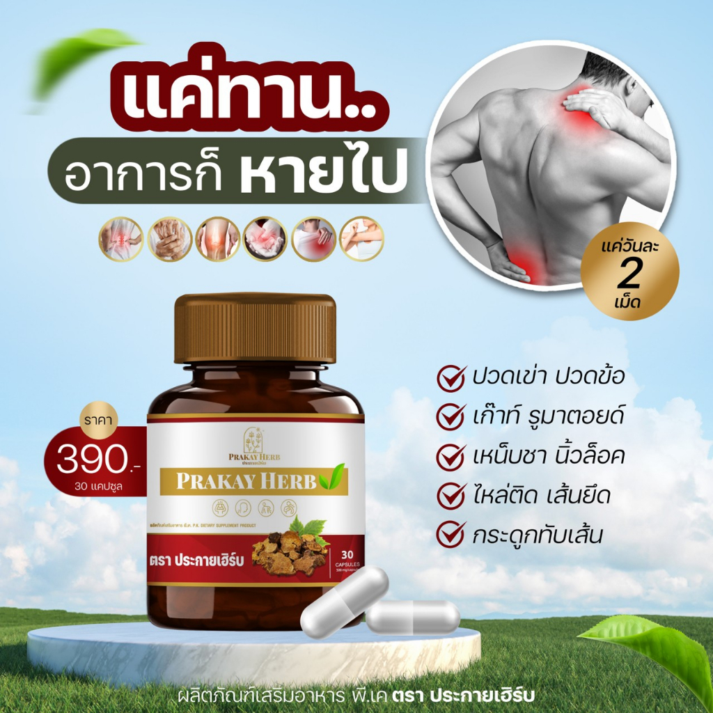 ส่งฟรี🔥 สมุนไพรประกายเฮิร์บ ปวดหลัง ปวดไหล่ เส้นยึด มือเท้าชาออฟฟิตซินโดรม ปวดเข่า กระดูกทับเส้น